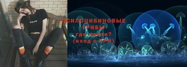 МДПВ Абаза