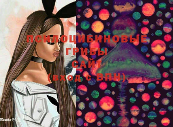 МДПВ Абаза