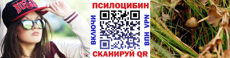 как найти закладки  Нижние Серги  Псилоцибиновые грибы ЛСД 